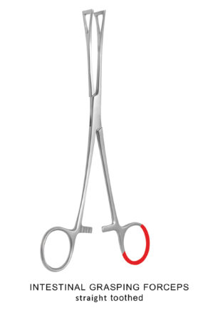INTESTINAL GRASPING FORCEPS STRAIGHT TOOTHED