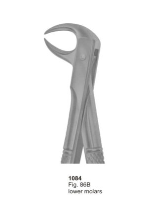 Lower Molars