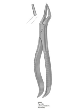 Upper Premolars and Roots