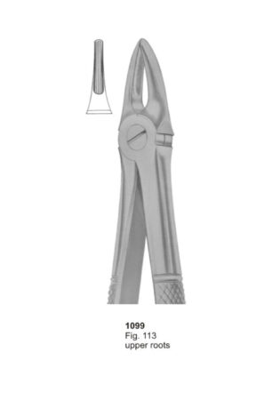 Upper Roots