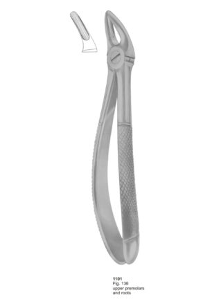 Upper Premolars and Roots