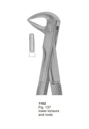 Lower Incisors and Roots