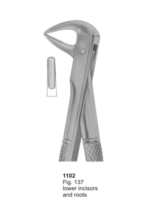 Lower Incisors and Roots