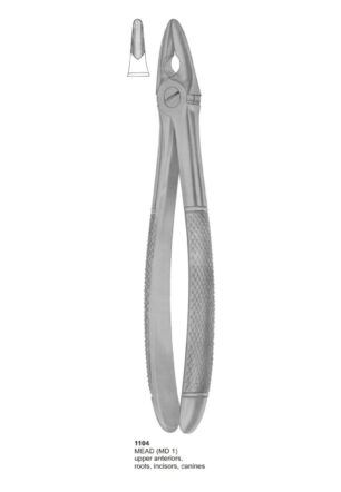 Upper Anteriors, Roots, Incisors, Canines