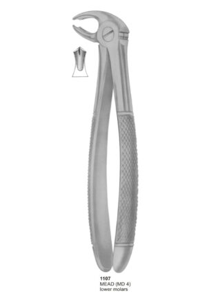 MEAD, Lower Molars