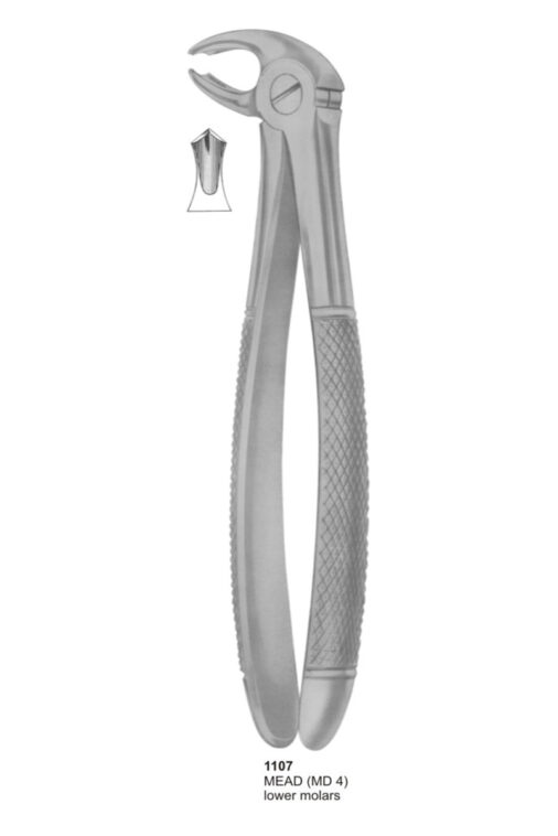 MEAD, Lower Molars