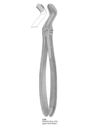 Upper Third Molars