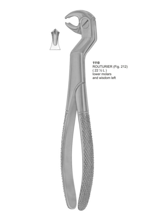 Routurier, Lower Molars and Wisdom Left