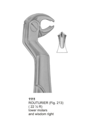 Routurier, Lower Molars and Wisdom Right