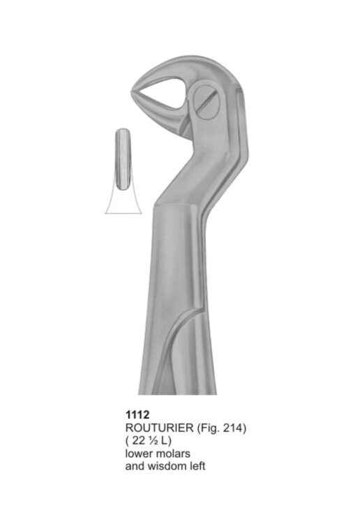 Routurier, Lower Molars and Wisdom Left