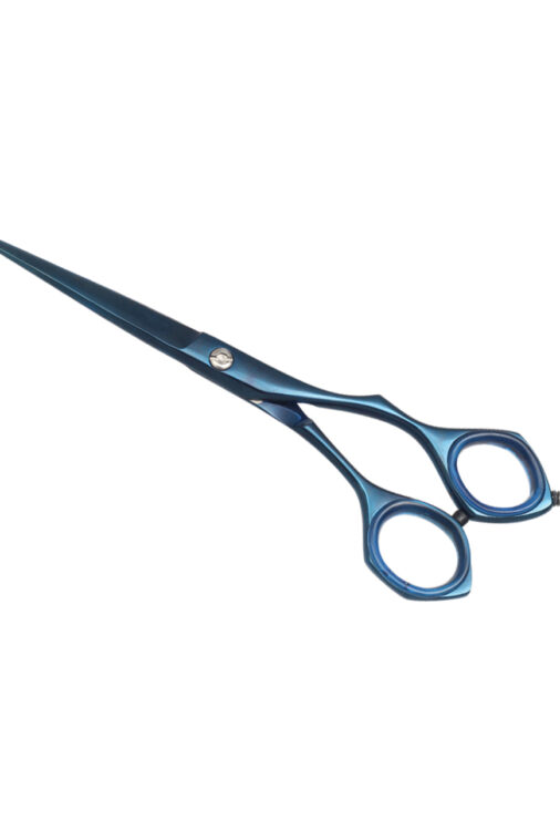 Barber Scissors