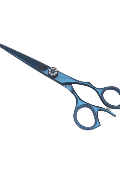 Barber Scissors