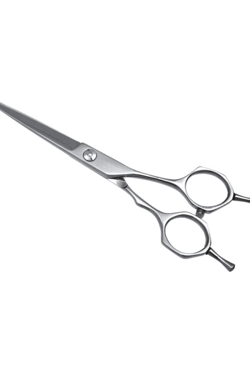 Barber Scissors