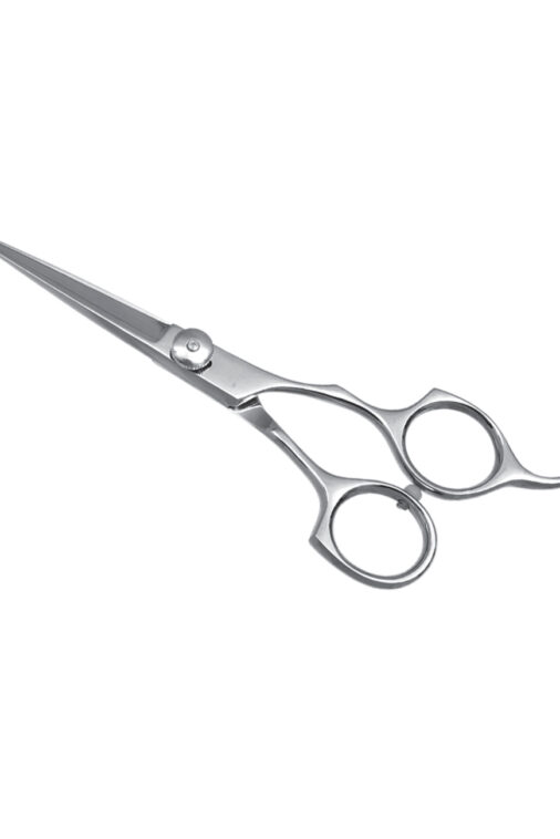 Barber Scissors