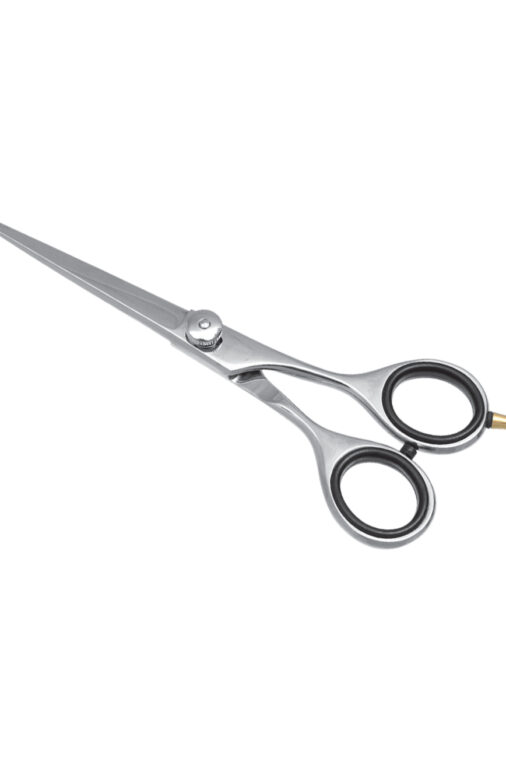 Barber Scissors