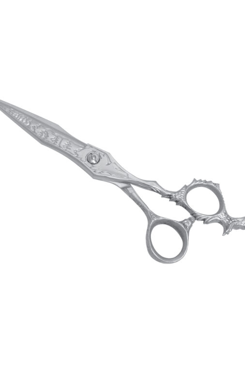 Barber Scissors