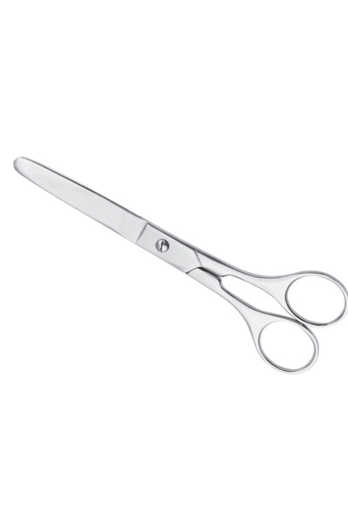 House Hold Scissors