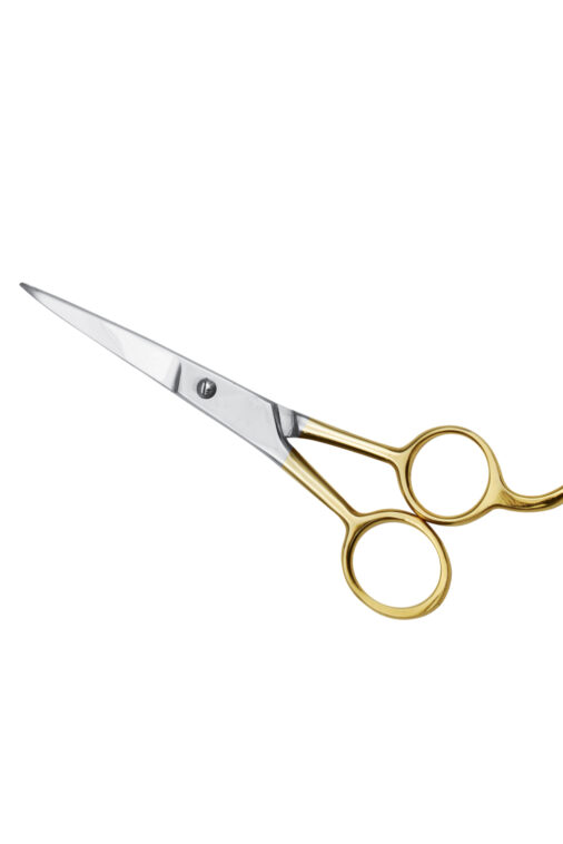House Hold Scissors